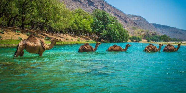 Places to Visit in Oman