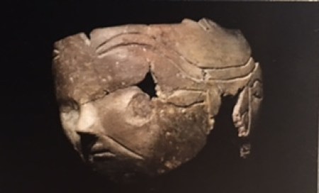 facepot
