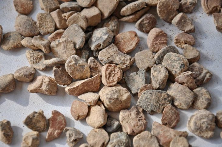 Seal impressions from the Doliche archive. Photo:Asia Minor Research Center, Universität Münster