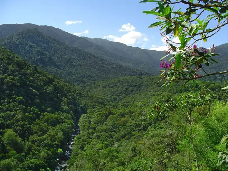 Itatiaia National Park, in Rio de Janeiro, a city that has been a hub for researchers since the Imperial era and is considered the birthplace of Brazilian archaeology – ICMBio